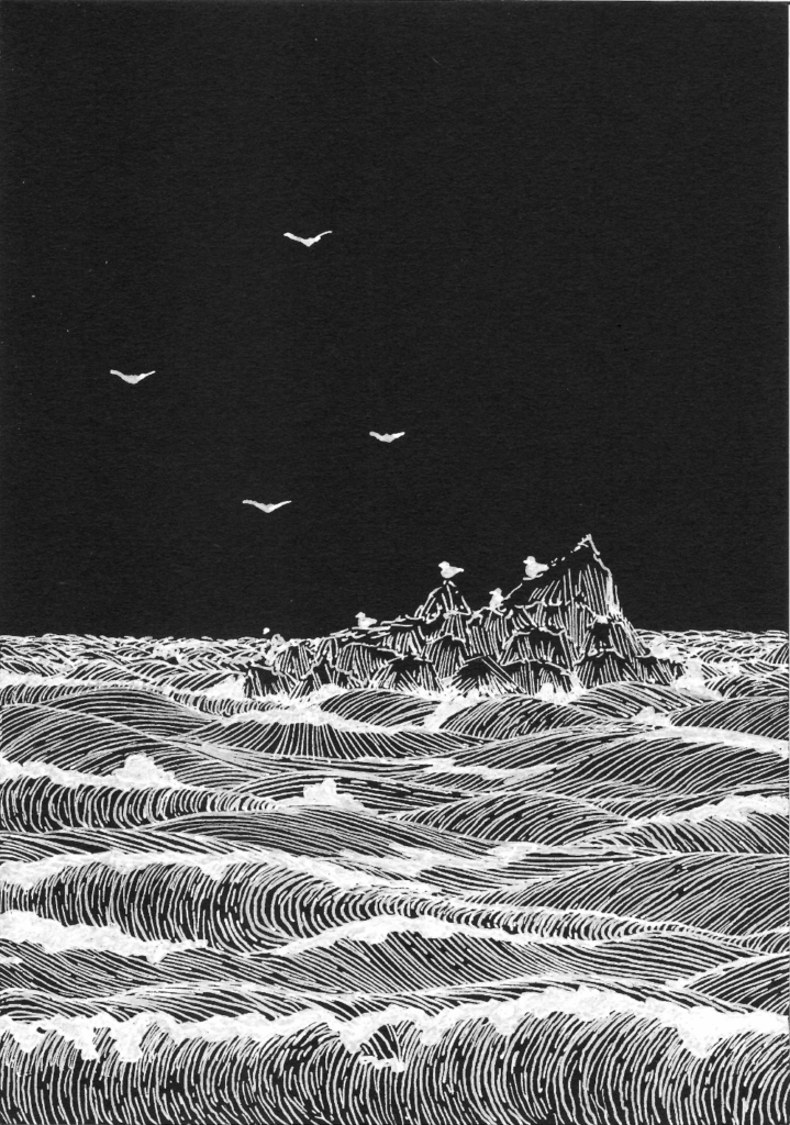 birds lr