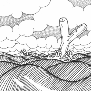 y thumbnail