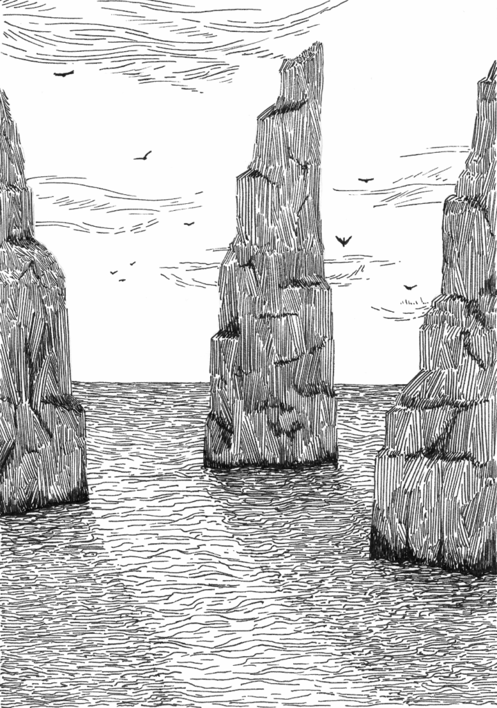 sea birds lr